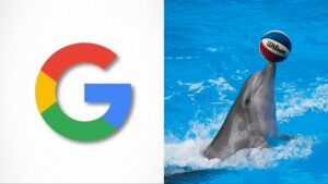 DolphinGemma
