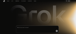 Grok API